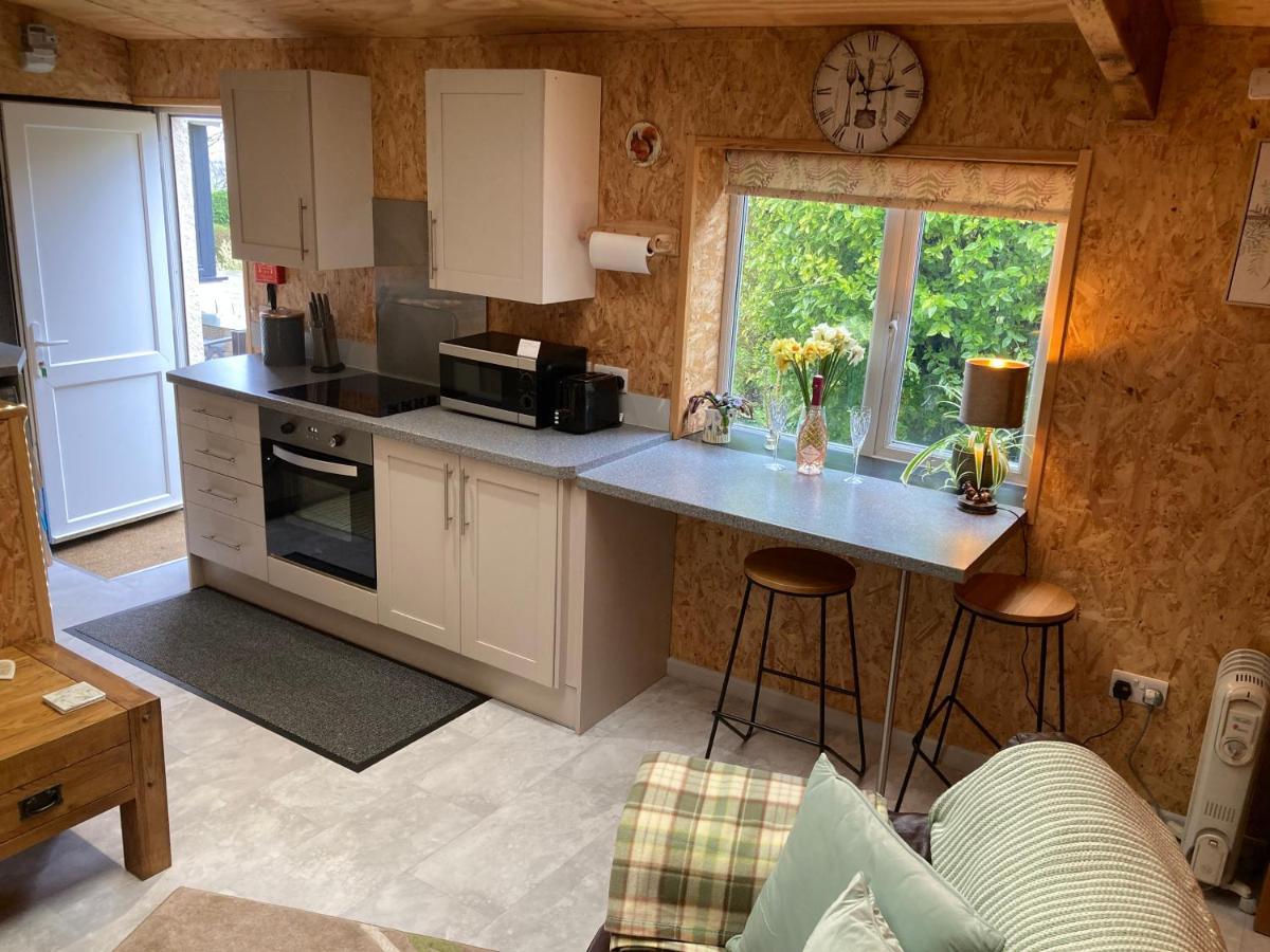 East Hillerton House Pensionat Crediton Exteriör bild