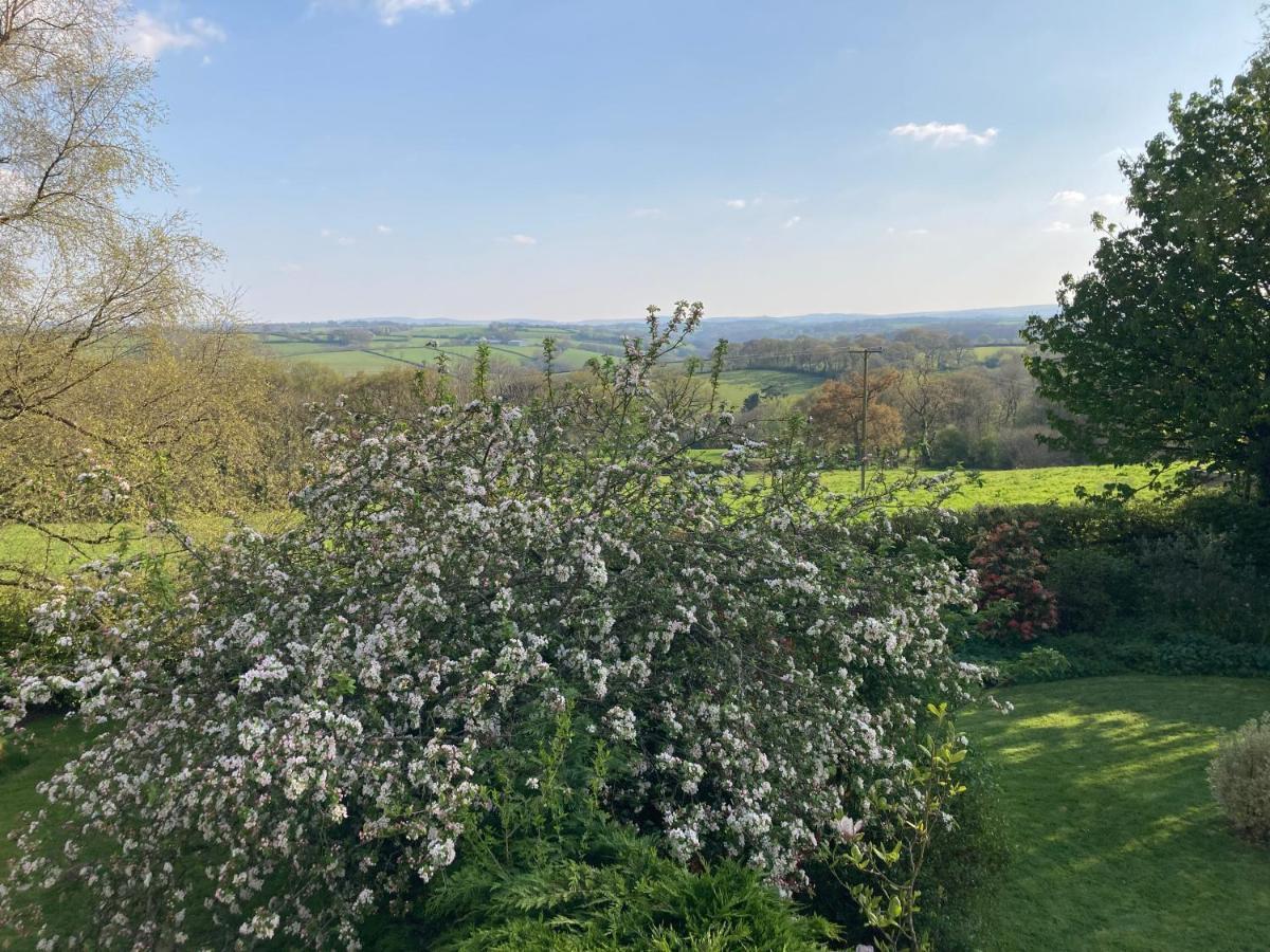 East Hillerton House Pensionat Crediton Exteriör bild